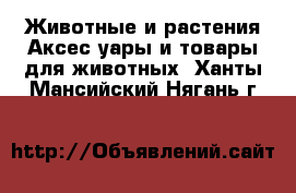 Животные и растения Аксесcуары и товары для животных. Ханты-Мансийский,Нягань г.